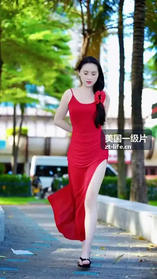 美国一级片大屏体验